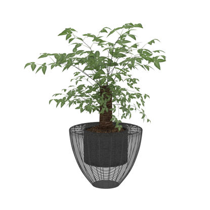 绿叶盆栽植物3d模型