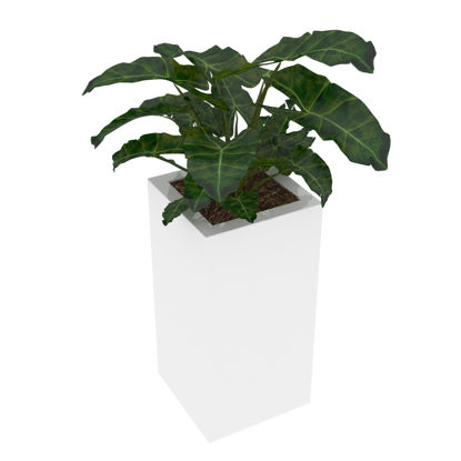 葉の植物3Dモデル