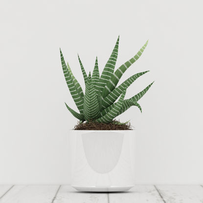 planter 3D modell 3