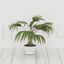 plants 3d model 2