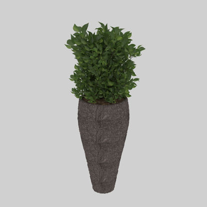 potted greenery plants 3d model