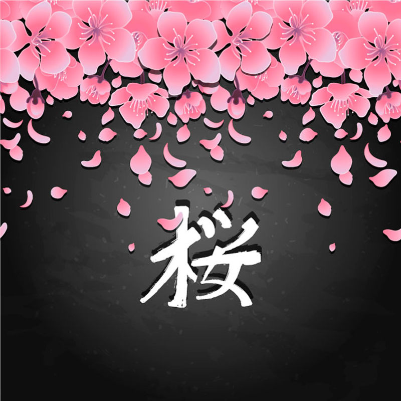 Japanese Style Cherry Blossom Background 33