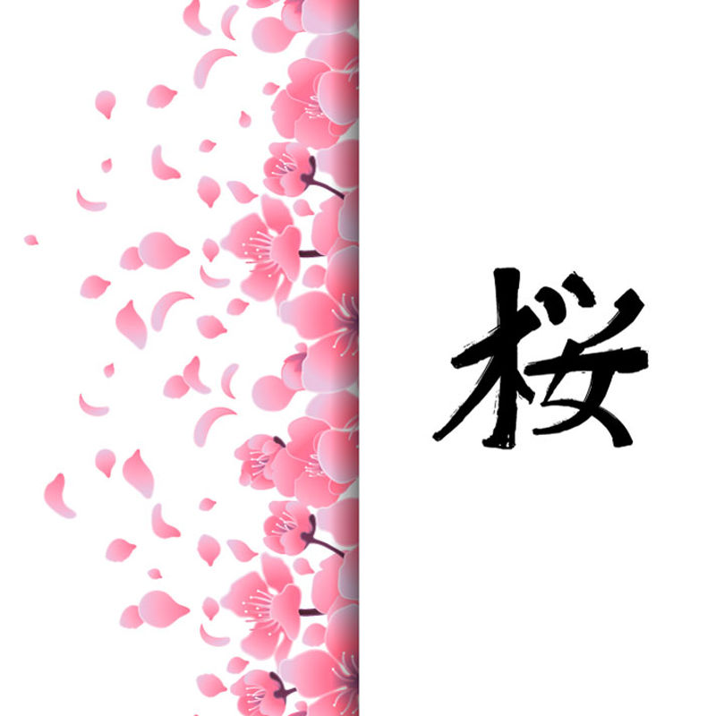 Japanese Style Cherry Blossom Background 30