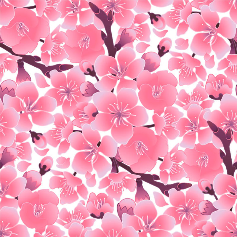 Japanese Style Cherry Blossom Background 9