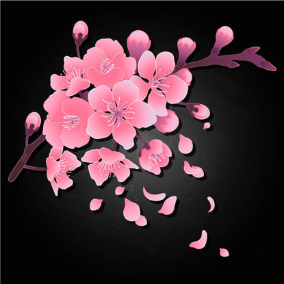 Japanese Style Cherry Blossom Background 56