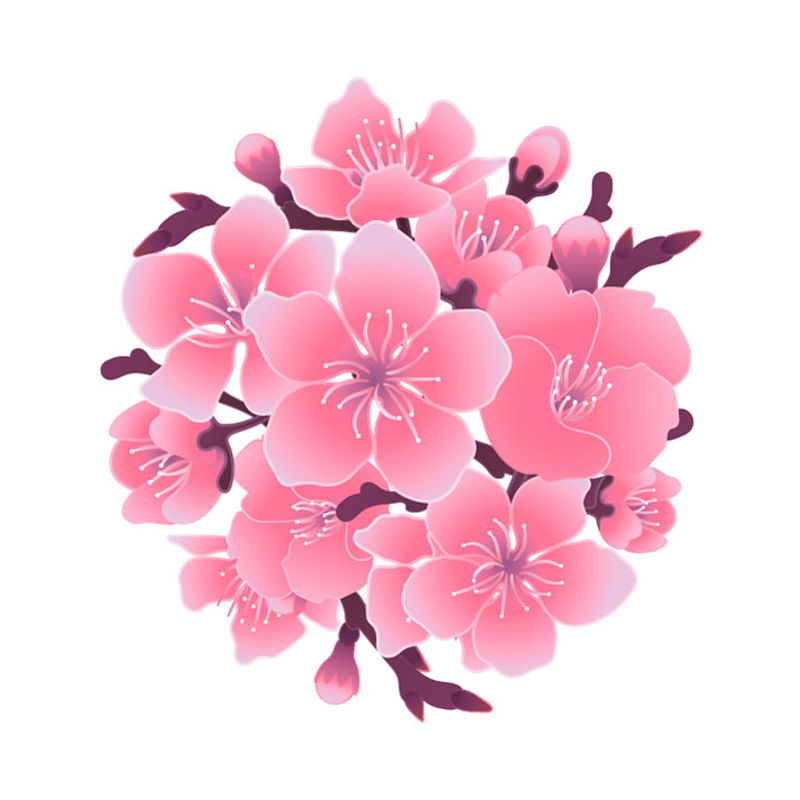 Japanese Style Cherry Blossom Background 53