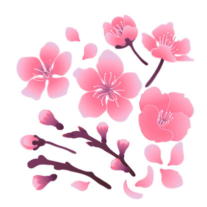 Japanese Style Cherry Blossom Background 52