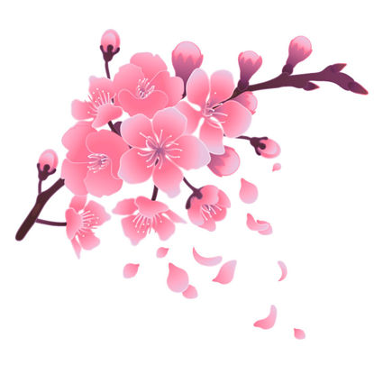 Japanese Style Cherry Blossom Background 51