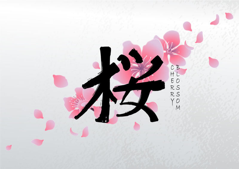 Japanese Style Cherry Blossom Background 50