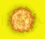 Fire Ball PNG