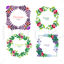 Flower Frame Collection