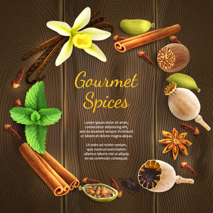 Condiment and Nuts graphic vector