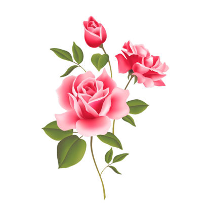 Čínská růžová květina Grafický vektor AI