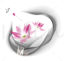 Chinese Ink Painting of Lotus and Lotus Leaf Patterns