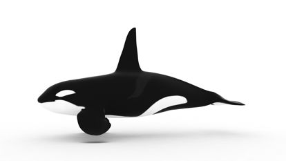 Orca Killer Whale modelo 3d