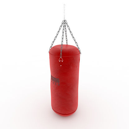 Boxing Bag 3d model
