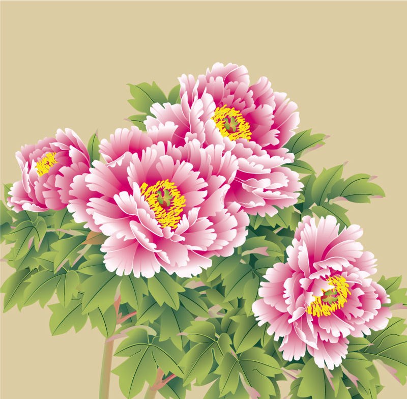 Chinese Painting Pink Peony Graphic AI Vector