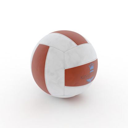 Modell des Volleyball 3d