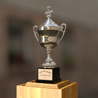 Championship Cup 3d model