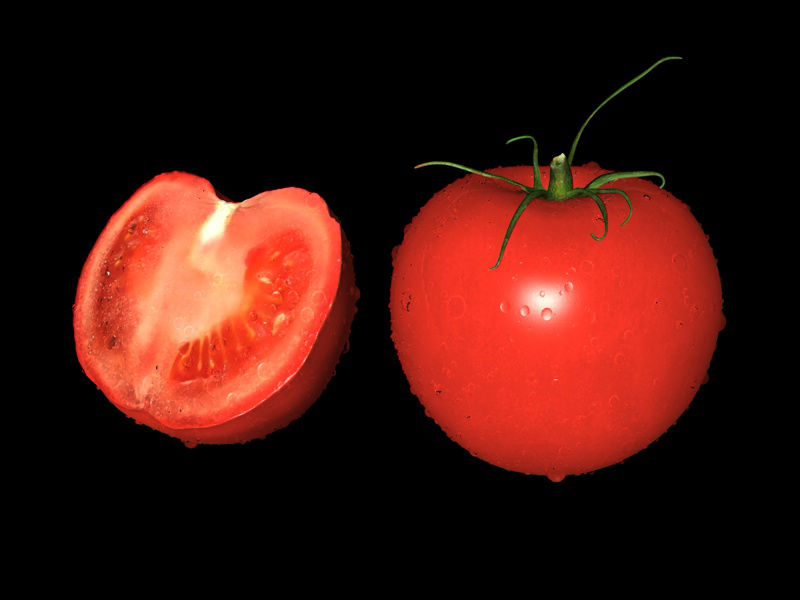 High precision vegetable tomato 3D model