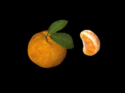 高精度フルーツオレンジ3Dモデル