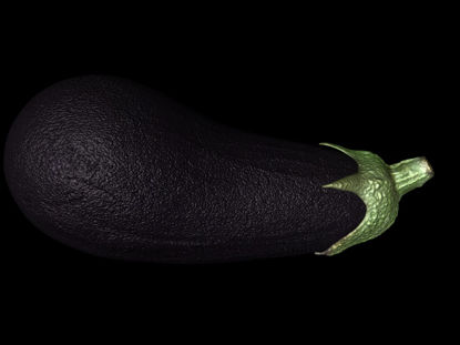 High precision eggplant 3D model