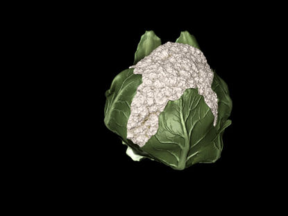 High-precision cauliflower cabbage 3D model