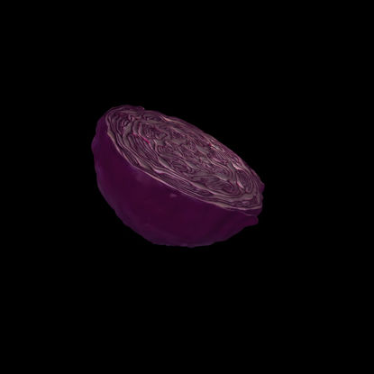 High precision purple cabbage 3D model
