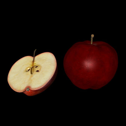 高精度の明るい赤リンゴの3Dモデル