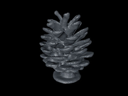 Pine Cone low-poly 3D model