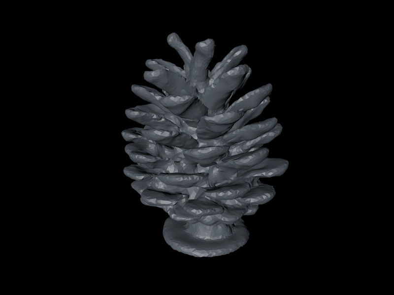 Pine Cone low-poly 3D model