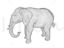 Elephant 3D printing model