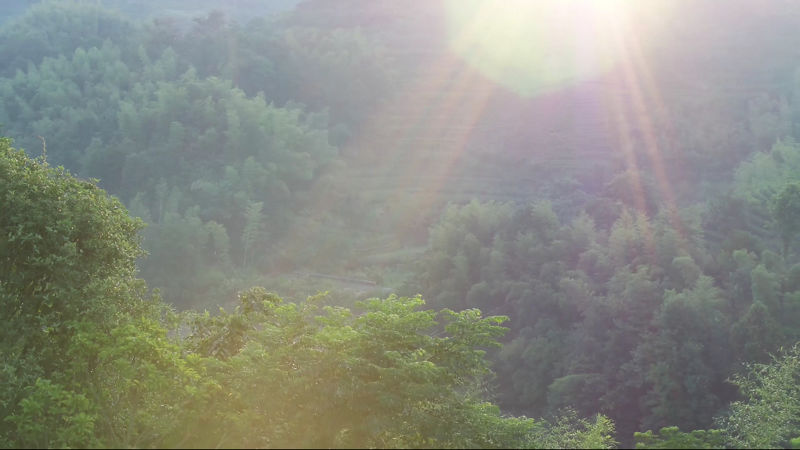Légi felvétel fotók tavak és erdők reggel fény napfény