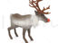 Reindeer 3D printing model