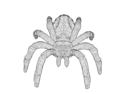 Modelo de impresión Spider 3d