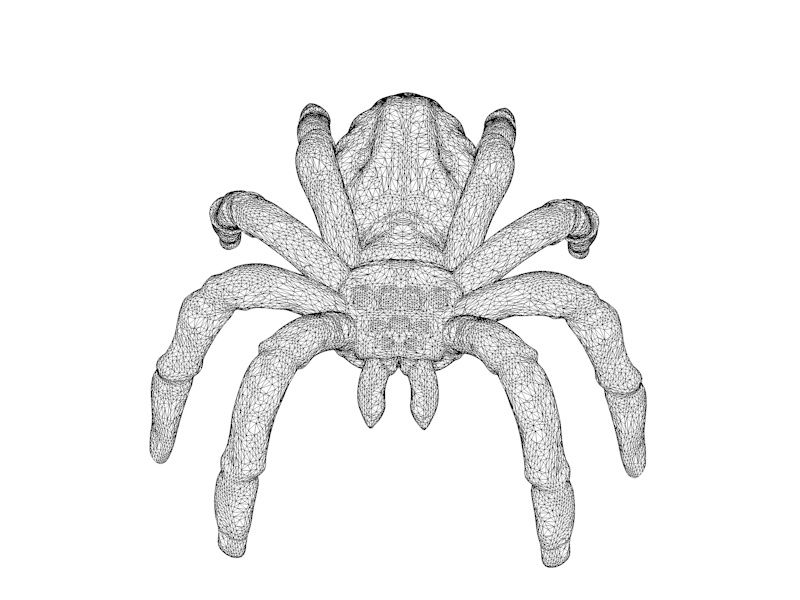 Modèle d'impression 3d araignée