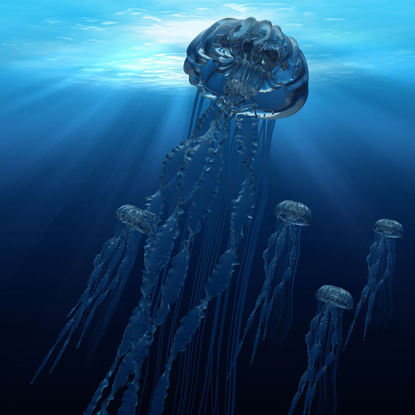Jellyfish 3d model and animation