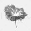 Ink material lotus leaf 3d model