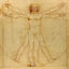 the Vitruvian Man by Leonardo da Vinci