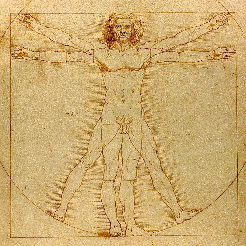 l'Uomo vitruviano di Leonardo da Vinci