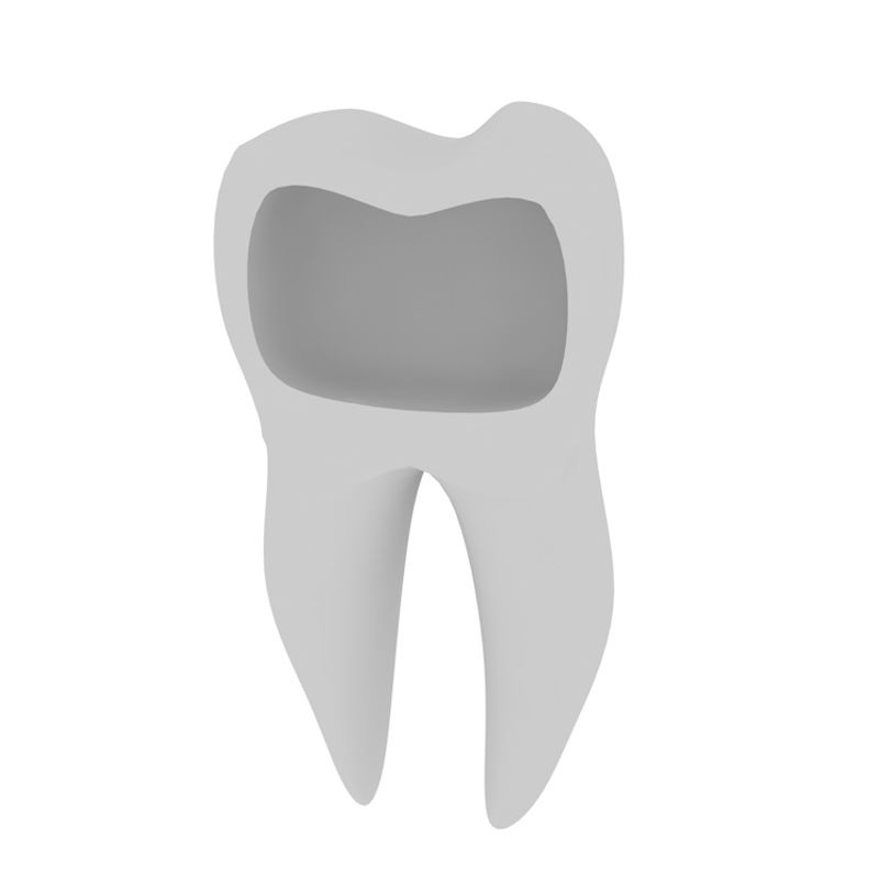 Human tooth profile 3D model