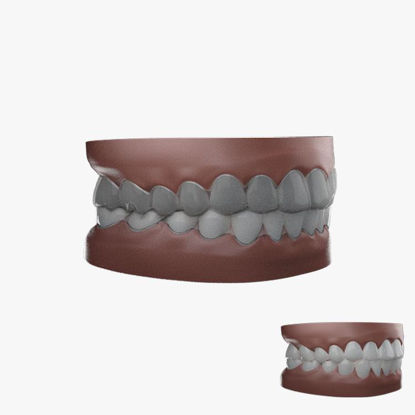 Modello 3d di denti adulti di simulazione