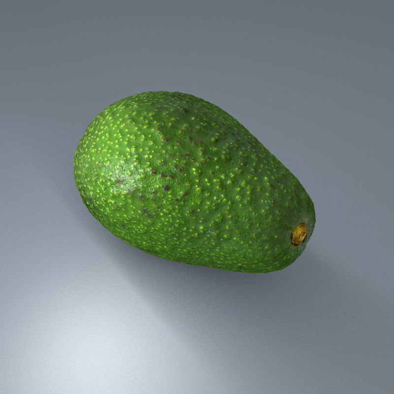 Avocado 3d modell