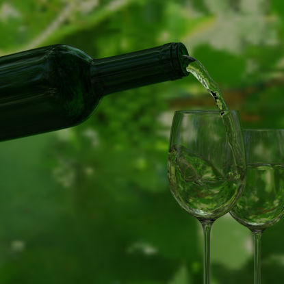 صب النموذج 3D النبيذ
