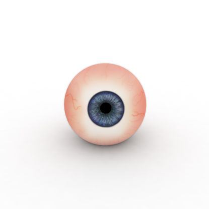 Living-human Eyeball 3d model