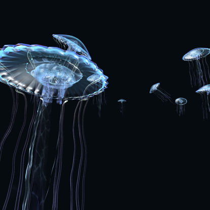 Модель медузы 3d