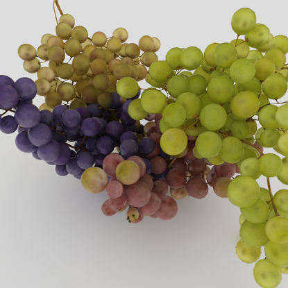 Modelo 3d de uvas