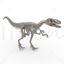 Dinosaur Skeleton 3d model