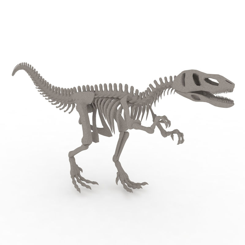 恐龙骨架3d模型