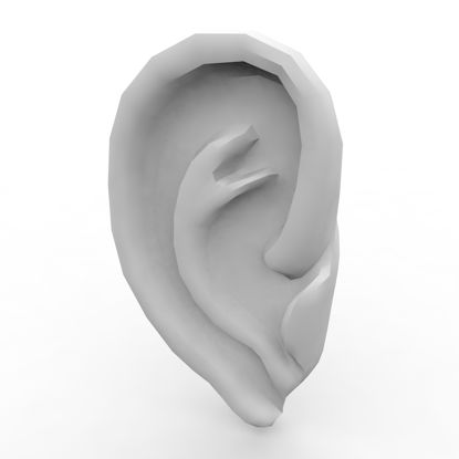 Human Ear 3d model